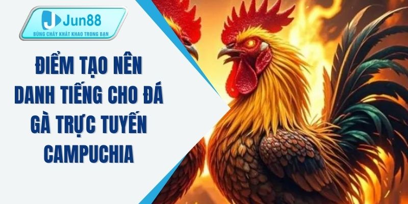 Điểm tạo nên danh tiếng cho đá gà trực tuyến Campuchia