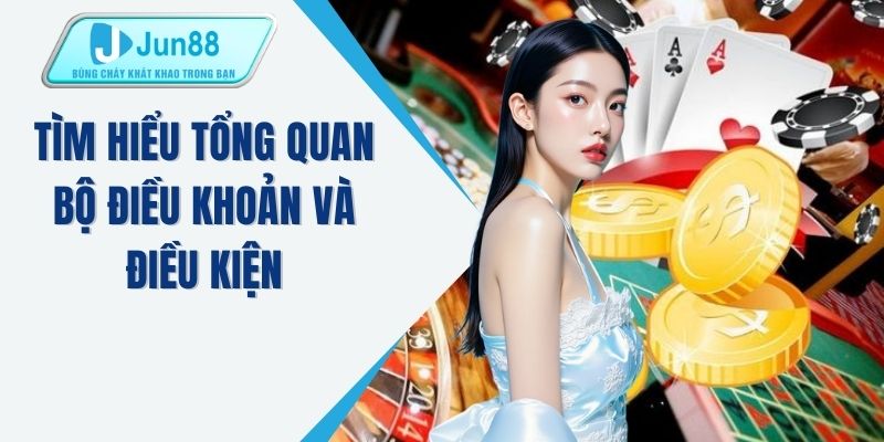 Tìm hiểu tổng quan bộ điều khoản và điều kiện
